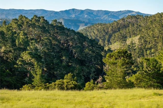 7925 Cinquenta (Lot 97), Carmel CA: https://media.crmls.org/mediaz/daf58a74-8d8f-43db-8004-2275466d0c86.jpg