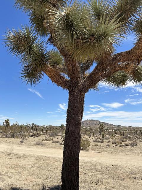 0 Sun Oro Road Road, Yucca Valley CA: https://media.crmls.org/mediaz/daf8df53-6b61-4370-a0bb-fbce61ebf829.jpg