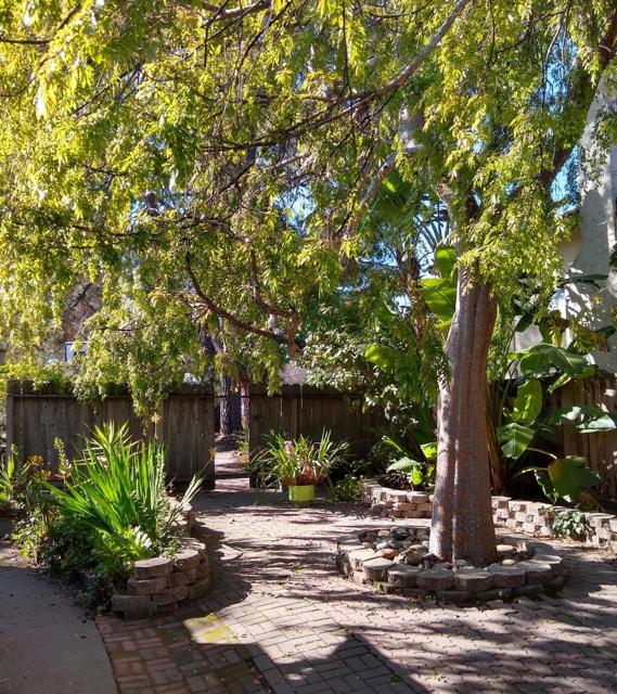 21851 Almaden Avenue, Cupertino CA: https://media.crmls.org/mediaz/daf9959b-5c9b-4e43-95de-331462aed35e.jpg