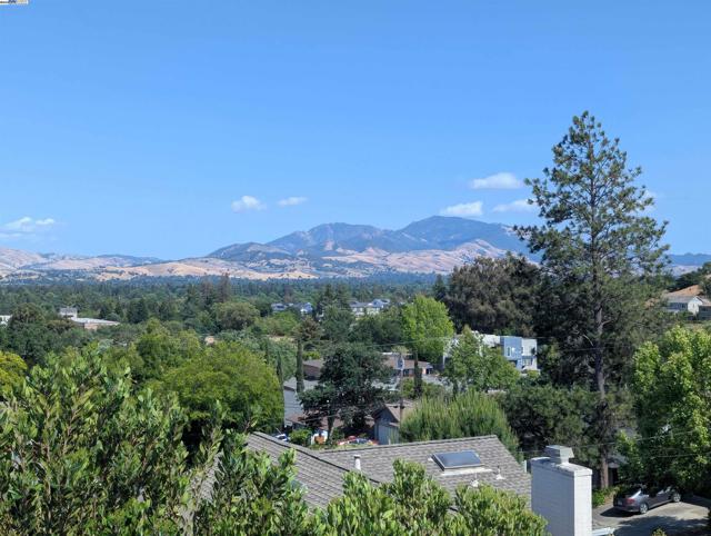 591 Vili Way, Pleasant Hill CA: https://media.crmls.org/mediaz/dafb132c-826e-4988-829c-9ddd480ac396.jpg