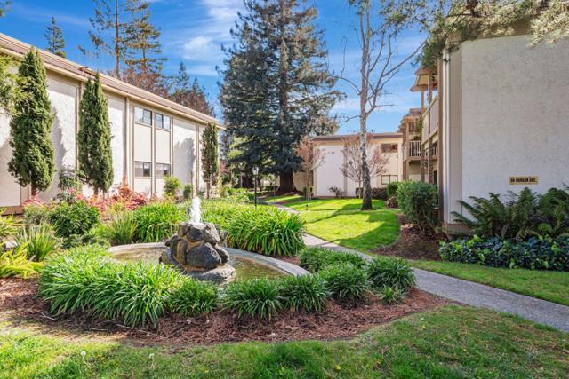 50 Horgan Avenue, Redwood City CA: https://media.crmls.org/mediaz/dafbd35f-5599-4f5f-a9a0-9fb371ad64e2.jpg