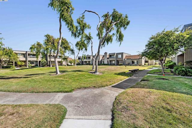 1026 Trellis Ln, Alameda CA: https://media.crmls.org/mediaz/dafc6381-b9dd-4a59-8b3b-75399ec7ba2c.jpg