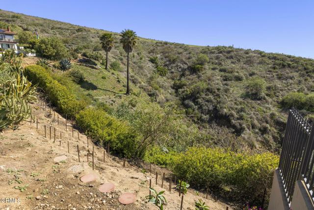 5572 Rainier Street, Ventura CA: https://media.crmls.org/mediaz/dafd483b-7cb5-4c44-89a5-abcea96eeb81.jpg