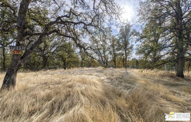 Image 7 of 12 For 17333 Wagon Wheel Drive