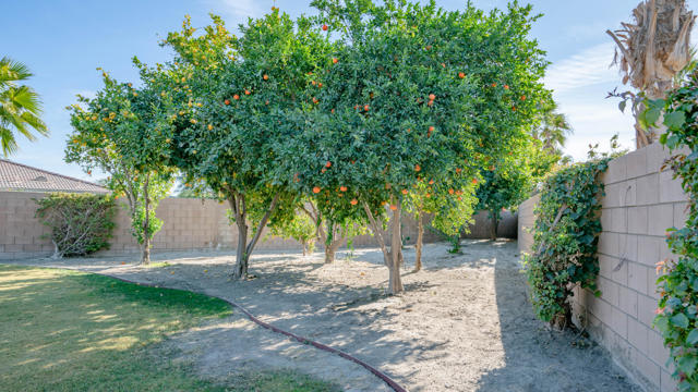 Image 29 of 154 For 79925 Corte Calero