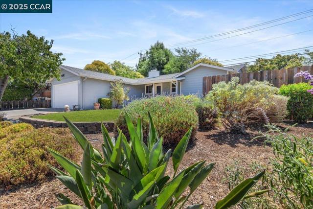 5555 Alabama Dr, Concord CA: https://media.crmls.org/mediaz/db0abff6-bd9e-4019-ae7f-3b53ea532dd1.jpg