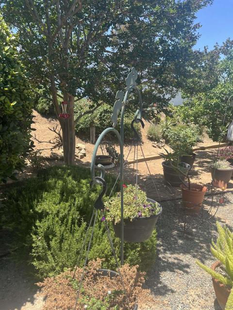 16495 Roca Dr, San Diego CA: https://media.crmls.org/mediaz/db0f361b-0b5a-4e5f-9571-a71f3ec0151d.jpg