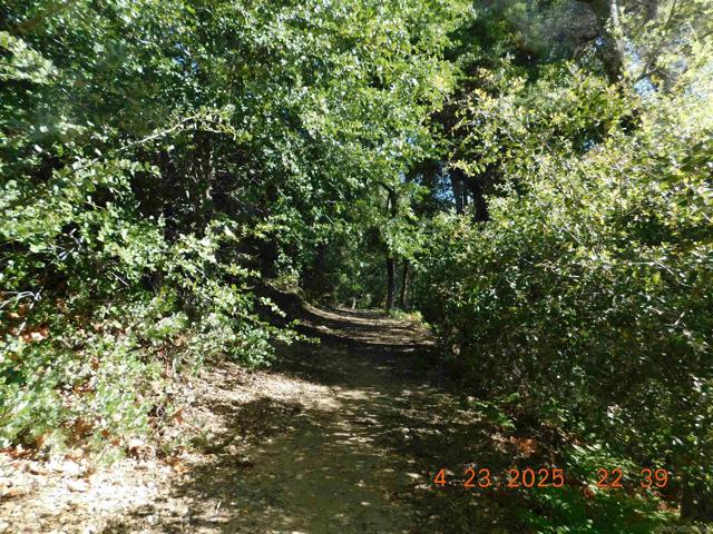 0 San Felipe Rd,  CA: https://media.crmls.org/mediaz/db12a8c5-6769-4454-bbcd-a64e82cdf6ad.jpg