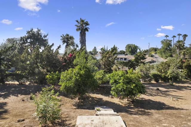 MLS #NDP2505756 image #64