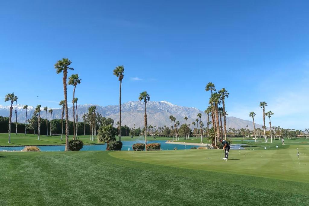 MLS #219137717DA image #21