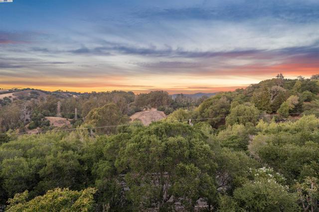1768 Astor Ct, San Leandro CA: https://media.crmls.org/mediaz/db1fd0c8-93db-4ff6-9b9a-7dcdecd34b33.jpg