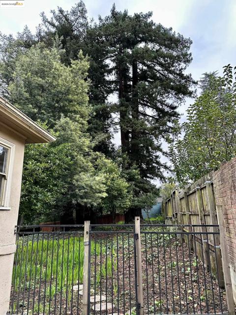 6014 La Salle Ave, Oakland CA: https://media.crmls.org/mediaz/db37e1d2-158c-43d8-b302-270b4bc72ead.jpg