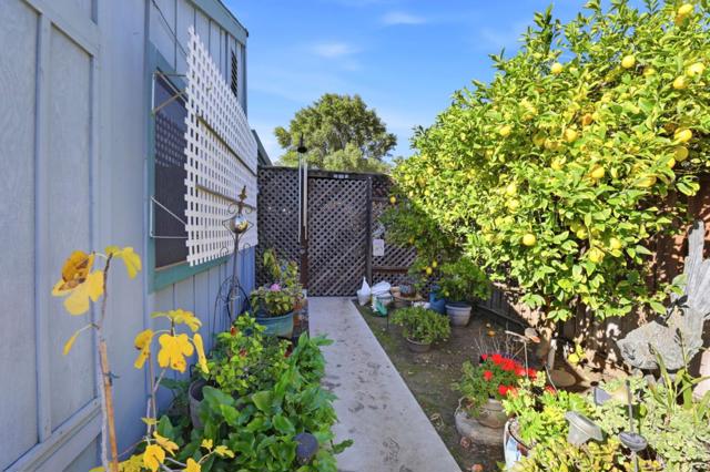 304 Ridgemark Drive, Hollister CA: https://media.crmls.org/mediaz/db3a5ca8-afcc-434d-805c-08c491bb711f.jpg