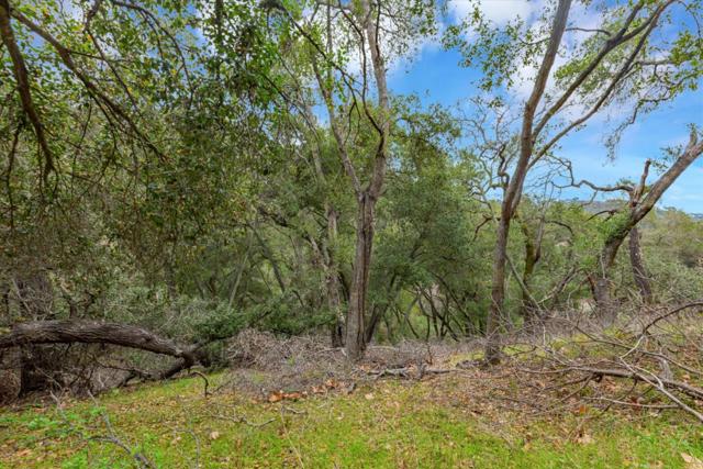 3005 Tohara Way, Morgan Hill CA: https://media.crmls.org/mediaz/db476c1c-2dc2-4334-9d8a-33266909ef37.jpg