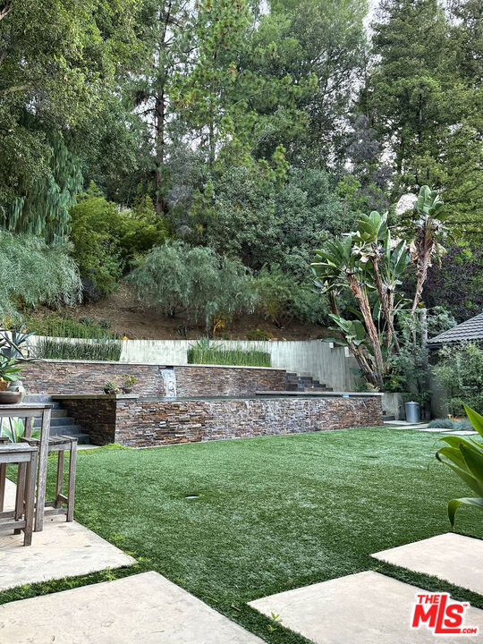 Lush Yard