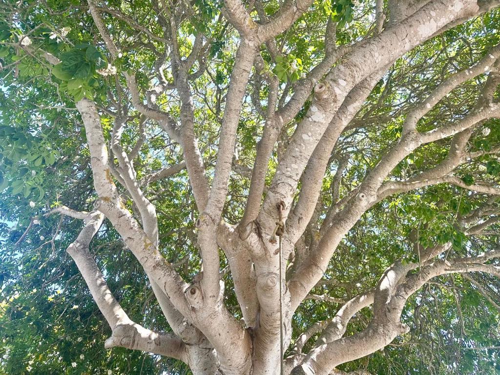https://media.crmls.org/mediaz/db512d67-4af3-4a85-bf85-1a4ced9bd470.jpg?preset=X-Large