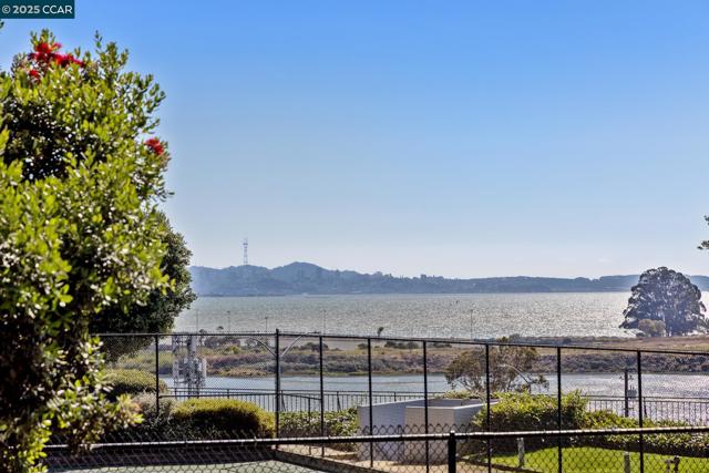 555 Pierce St, Albany CA: https://media.crmls.org/mediaz/db57c526-dbdd-4d39-8b46-bd7212fee989.jpg