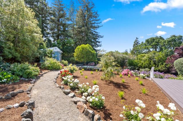 206 Frances Lane, Redwood City CA: https://media.crmls.org/mediaz/db5dc663-b4c2-449e-afbb-b3d8ccf8dc9a.jpg