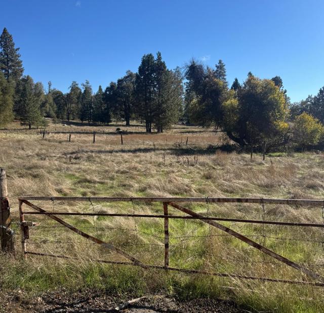 2795 State Highway 49, Mariposa CA: https://media.crmls.org/mediaz/db5e95a9-6cf2-48f4-b38f-b35a303e0137.jpg