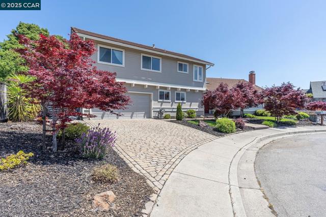 6082 Slopeview Ct, Castro Valley CA: https://media.crmls.org/mediaz/db65621f-f2a7-429e-8caf-384d0656f1d0.jpg