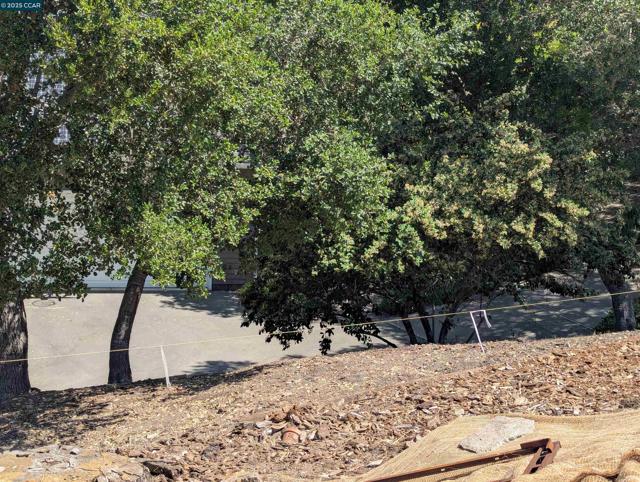 13 St James Court, Orinda CA: https://media.crmls.org/mediaz/db6797db-0576-42a8-9c02-4a33107a8de8.jpg