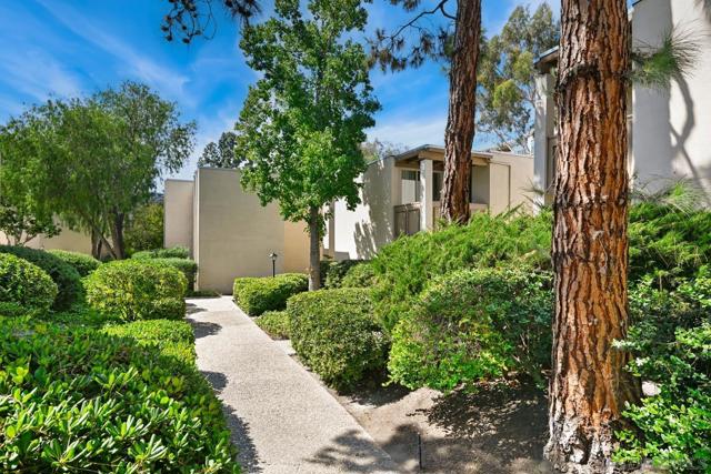 4881 Collwood Blvd, San Diego CA: https://media.crmls.org/mediaz/db6a940d-8d25-4b35-b8e3-c4e9cc2f23e5.jpg