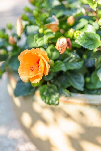 325 Kingsbury Drive, Aptos CA: https://media.crmls.org/mediaz/db7d1c99-75fd-47cb-9457-60acdfbd583f.jpg