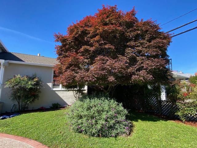 1408 Birch Avenue, San Mateo CA: https://media.crmls.org/mediaz/db8a4c7d-ad42-48f5-92ee-ca27f27e362c.jpg