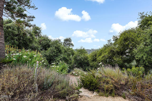 4155 Aralia Road, Altadena CA: https://media.crmls.org/mediaz/db8d6f69-07d7-4bf1-9a1a-901430a4e680.jpg