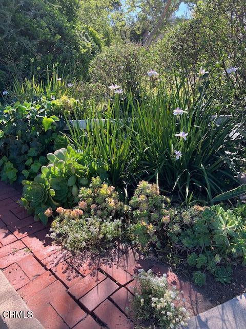 Image 3 of 29 For 1520 Carroll Drive