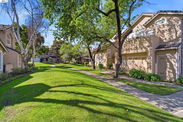 Image 24 of 28 For 5245 Tacoma Cmn