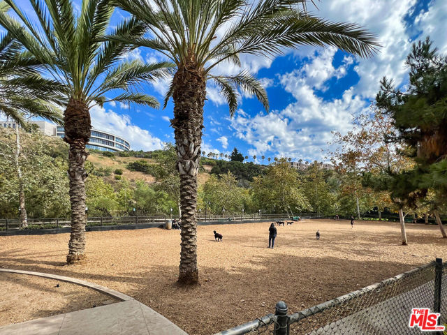 13044 Pacific, Playa Vista CA: https://media.crmls.org/mediaz/db9b94cf-e6dd-4488-beef-2f86c5b6ee82.jpg