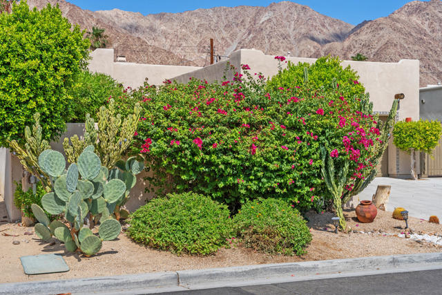 Image 33 of 35 For 51905 Avenida Obregon