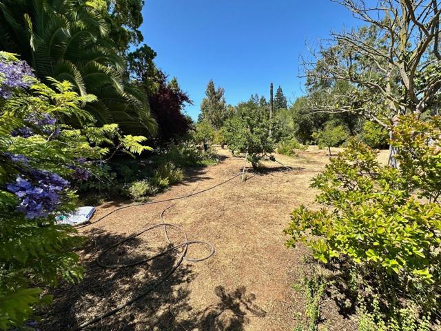 399 Hawthorne Avenue, Los Altos CA: https://media.crmls.org/mediaz/dba4e3da-6fd1-4e94-9ba1-a2855d4d10f8.jpg