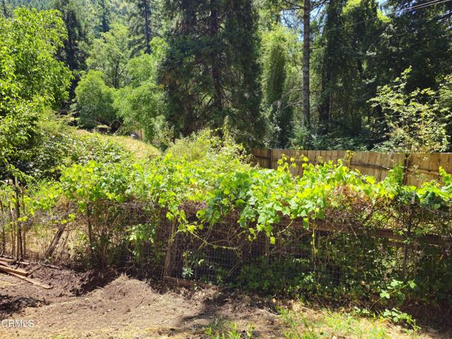 Detail Gallery Image 7 of 23 For 65235 Hwy 271, Leggett,  CA 95585 - 4 Beds | 2 Baths