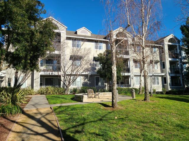 1982 W Bayshore Road, East Palo Alto CA: https://media.crmls.org/mediaz/dbb2f97d-850f-4b2f-9aef-f2195d5c957f.jpg