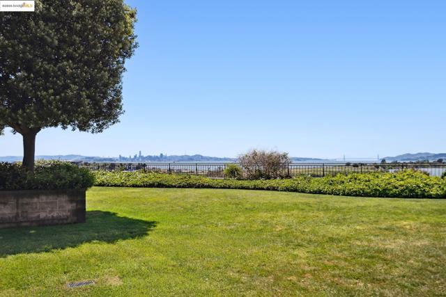 555 Pierce St, Albany CA: https://media.crmls.org/mediaz/dbb7b90b-3802-40eb-b3b8-1f90498c0f6f.jpg