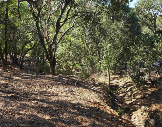 12 Vista Del Orinda, Orinda CA: https://media.crmls.org/mediaz/dbb8bd27-9a9b-42da-a464-ce952addfbf2.jpg