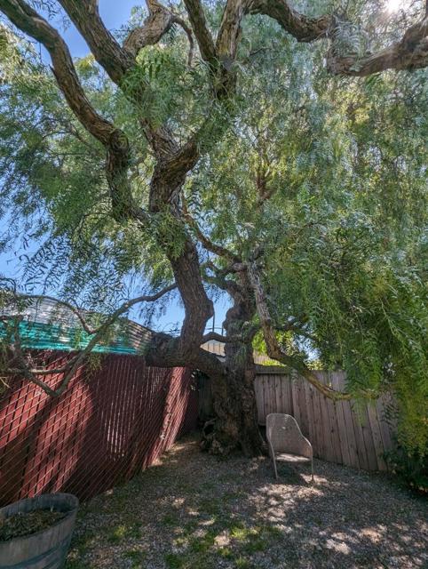 3039 Andrade Avenue, Richmond CA: https://media.crmls.org/mediaz/dbb94d9d-bcb8-4796-ad5d-093da08171e6.jpg