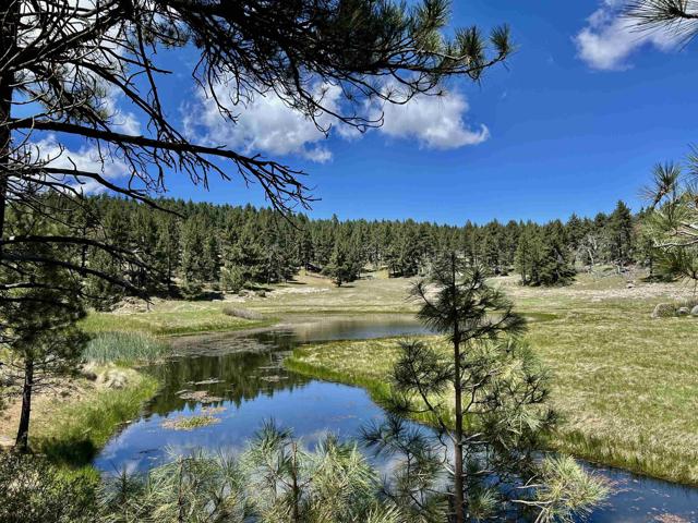 305 Los Huecos, Mount Laguna CA: https://media.crmls.org/mediaz/dbb98811-5169-456e-ad5d-7ca6c619dd37.jpg