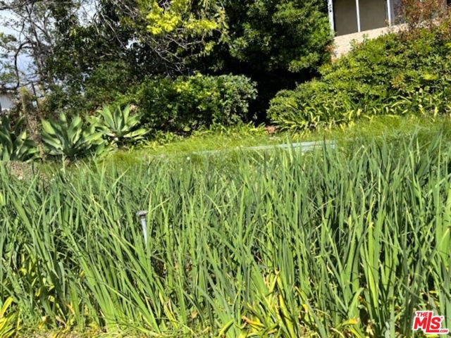 770 N Alexandria Avenue, Los Angeles CA: https://media.crmls.org/mediaz/dbc16640-717c-4b26-9f53-12cc40d93405.jpg