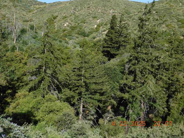0 San Felipe Rd,  CA: https://media.crmls.org/mediaz/dbc56da4-1c74-4f52-b3b7-8e3370dc644c.jpg