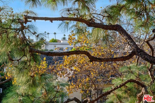 200 N Swall Drive, Beverly Hills CA: https://media.crmls.org/mediaz/dbc6a997-e8c1-4abb-921b-c815f550f25d.jpg