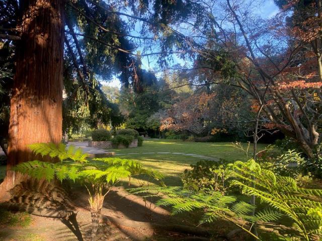 269 Selby Lane, Atherton CA: https://media.crmls.org/mediaz/dbcb51fd-df98-4cbd-8738-65bb89fb3cfa.jpg