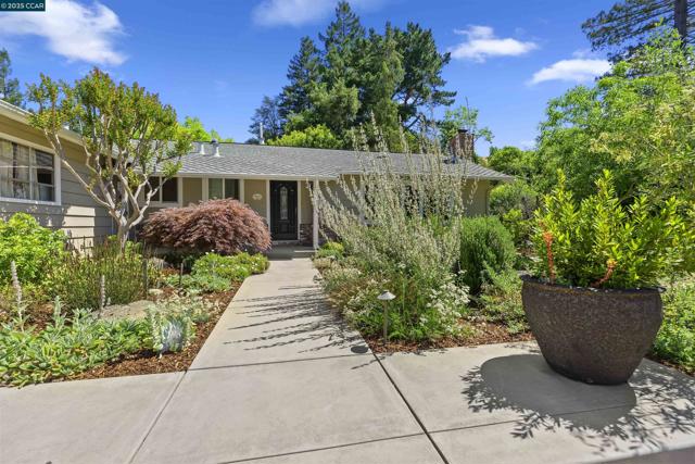 51 Ivy Dr, Orinda CA: https://media.crmls.org/mediaz/dbd0af22-b010-498c-9fea-b41dd4d211e7.jpg