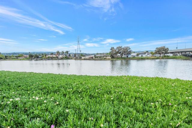 1689 Via Laguna, San Mateo CA: https://media.crmls.org/mediaz/dbdf243a-f19b-4caa-830b-d0e61a740497.jpg