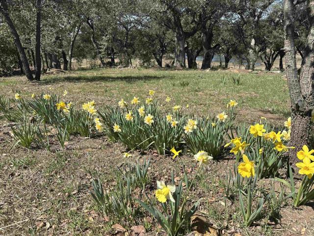 Detail Gallery Image 44 of 69 For 25258 Black Canyon Rd, Santa Ysabel,  CA 92070 - 3 Beds | 2 Baths