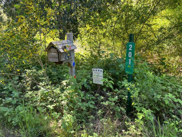 201 Hill House Road, Boulder Creek CA: https://media.crmls.org/mediaz/dbe92585-fe3f-47ba-9725-406b70ca1858.jpg