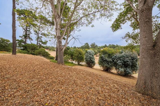 19400 Eden Court, Salinas CA: https://media.crmls.org/mediaz/dbed0858-5cc7-4cf0-a6a3-2efeb17b0ac8.jpg