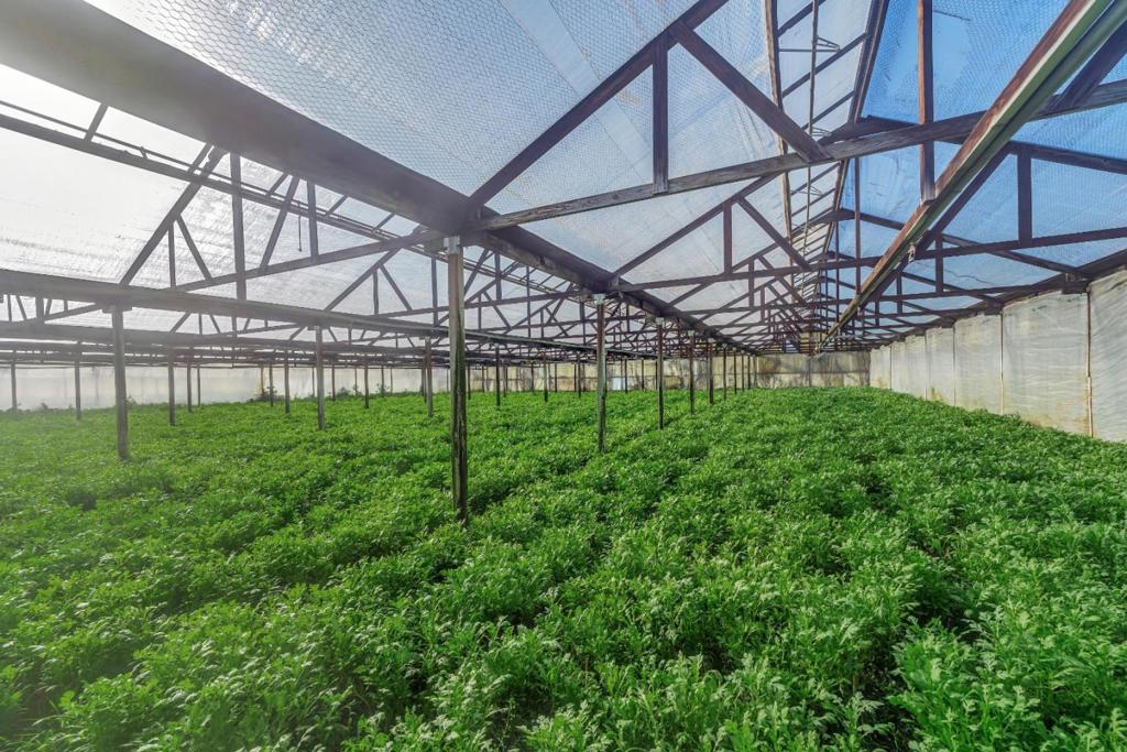 MLS #ML81996407 img 10